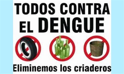 Dengue para prevenir lo más importante es eliminar los criaderos