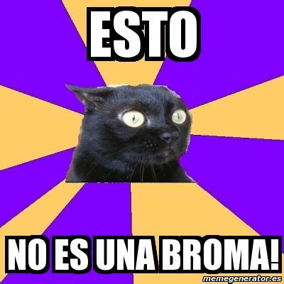 Meme Anxiety Cat Esto No Es Una Broma 2070151