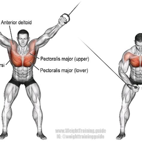 Cable Crossover by Akam Bakr - Exercise How-to - Skimble