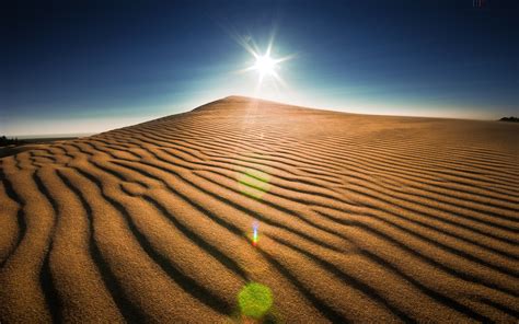 Landscape Sand Desert Dune Sahara Material Habitat Natural