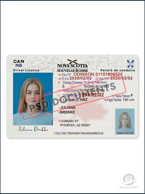 Nova Scotia Drivers License Psd Template Psd Documents