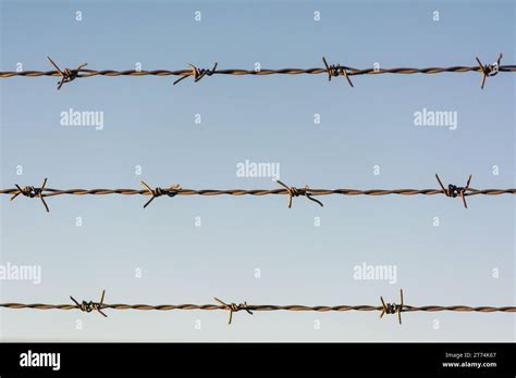 A Barbed Wire Fence With Pale Blue Sky Background Three Barbed Wires