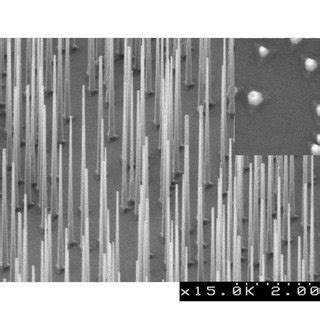 Tilt Fesem Image Of Kinked Inas Gaas Heterostructure Nanowires The