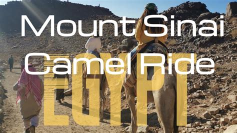 What Is It Like To Ride In A Camel For Hours Moses Mountain Egypt