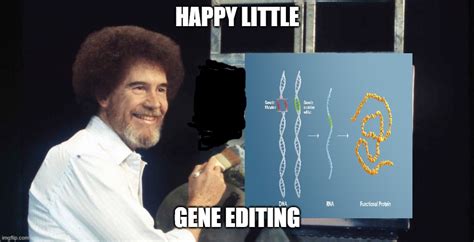 Bob Ross Gene Editing Imgflip