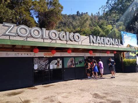 Best 4 things to do in Chilean National Zoo Santiago