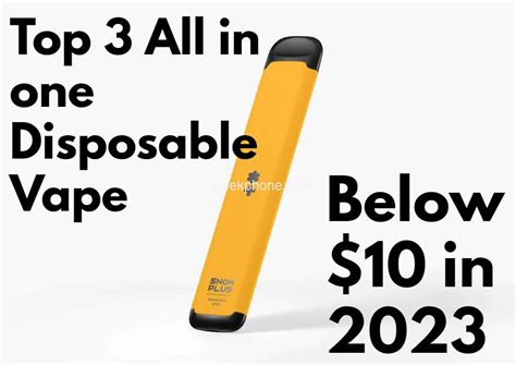 Top 3 All In One Disposable Vape Below 10 In 2023