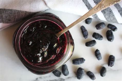 30 Honeyberry Recipes Haskap Fruit Adamant Kitchen