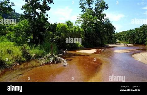 fly fishing river stock  footage hd   video clips alamy