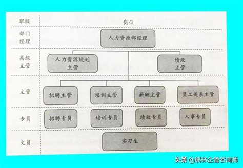 人力資源部門各職能如何合理分工？分享11點主要崗位職責 每日頭條