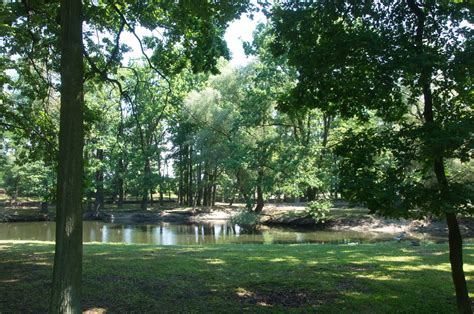 Park Im Fryderyka Chopina Konin Tu P Ynie Energia