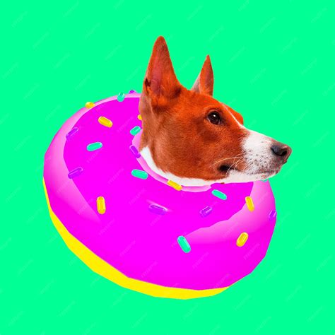 Doge Donut