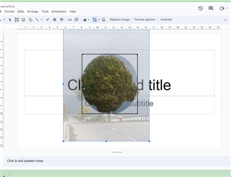 How To Make Images Circular In Google Slides Guiding Tech