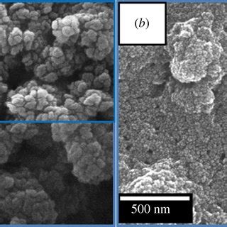 Xrd Patterns Of As Synthesized Tio Qds Commercial Tio Nanoparticles