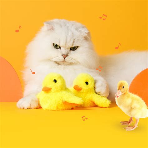 Cat Stuff Kitten Necessities Home Alone Cat Toys Rechargeable Flapping With Lifelike Quack