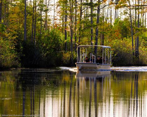 Okefenokee swamp, full of pathless, seamless mud. on Behance