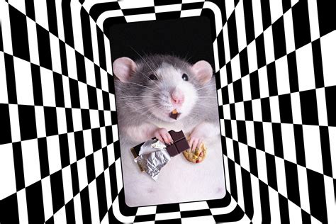 Tiktok S Rat Snack Trend Strikes A Chord With Everyone