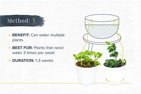 How To Water Plants While Away 6 Diy Methods Proflowers Blog