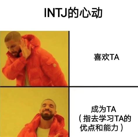 Intj最适合的伴侣性格 知乎