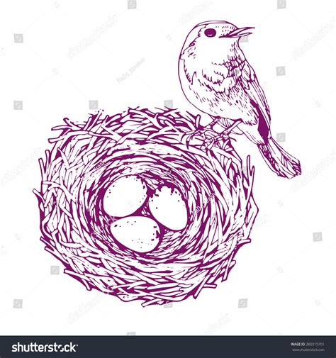 Bird Nest Eggs Hand Drawing Illustration Stock Vector Royalty Free