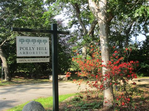 The Polly Hill Arboretum About Us