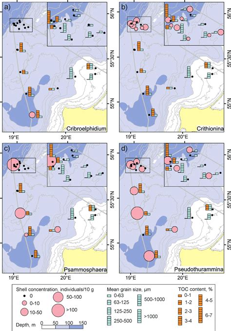 Distribution Of Benthic Foraminiferal Genera In The Surface Sediments