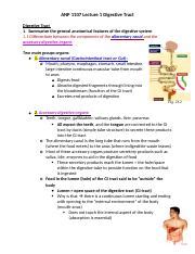 Lecture 1 Docx ANP 1107 Lecture 1 Digestive Tract Digestive Tract 1