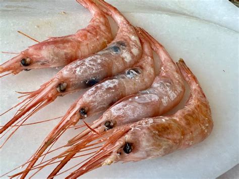 Gambas Blancas O Rojas Es Mejor Comerlas Crudas Cocidas Al Vapor O