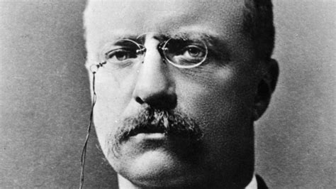 Why Teddy Roosevelts Legacy As The Conservation President Is Well Earned