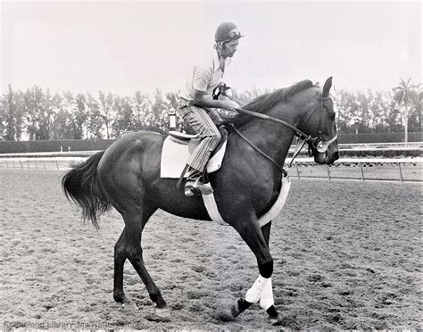 Seattle Slew | Horse Profile - TwinSpires Horse Racing | Bet Online ...