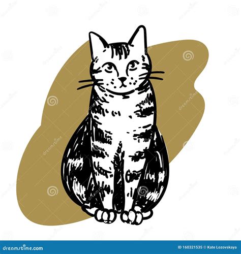 Gato Sentado Gatito Con Estilo De Dibujo A Mano Ilustraci N Vectorial