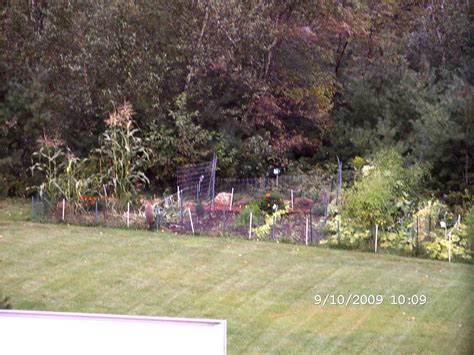 Famous Can Groundhogs Climb Wire Fences Ideas