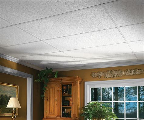 Impression HomeStyle Ceilings Textured Paintable 2' x 4' Panel 1135 by ...