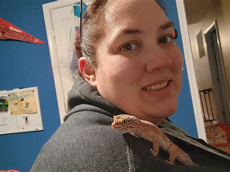 Updates on all the babies : r/geckos