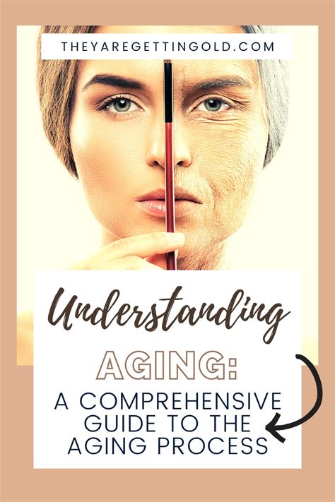 Understanding Aging A Comprehensive Guide To The Aging Process They