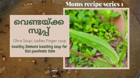 Vendakka Soup Okra Soup Immunity Boosting Soup Bhindi Soup Easy And Healthy Okra Ladies Finger