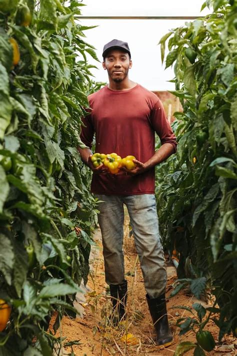 Black And Other Minority Farmers Are Getting Billion From Usda After