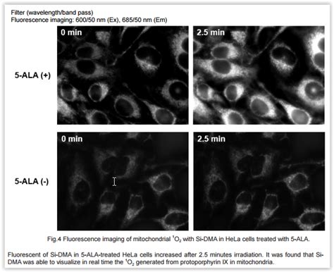 Reactive Oxygen Species Ros And Related Assay Kits Tebubios Blog