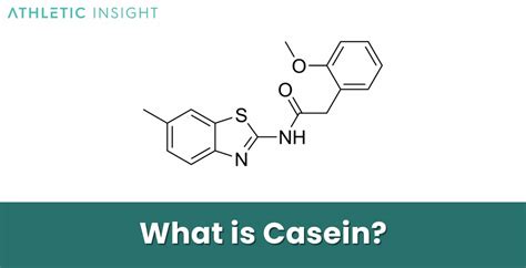 Casein What Is It Importance Uses Benefits And Side Effects