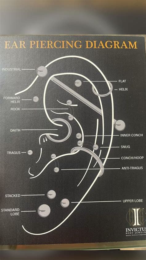 Ear piercing diagram