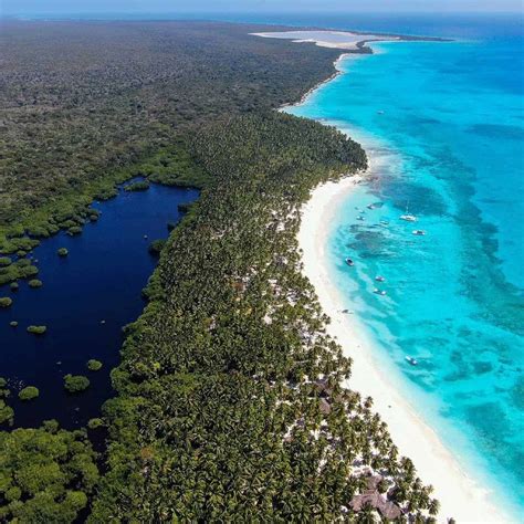 Descubre Isla Saona Un Paraíso En La República Dominicana