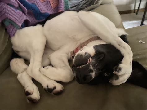 Reacting vs. Responding: Same Situation, Totally Different Outcome