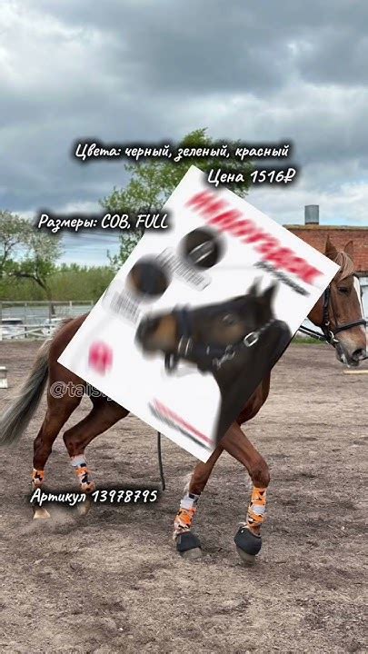 Недоуздки для лошадей с вб 🫶🏻 много интересного в моем тгк: equ•taisiya ...