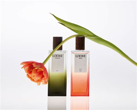 loewe cologne men 9