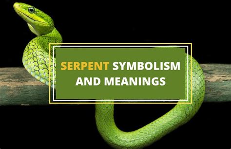 Serpent Symbolism and Meaning | Serpent symbolism, Serpent, Meant to be