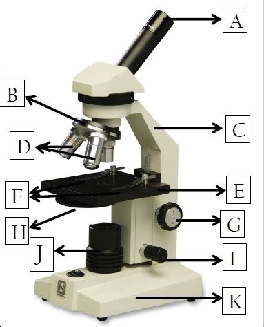 Microscope Parts And Functions Diagram Quizlet