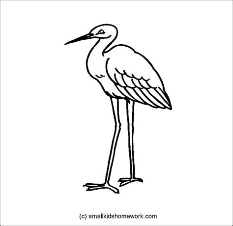 Sandhill Crane Drawing At Getdrawings Free Download