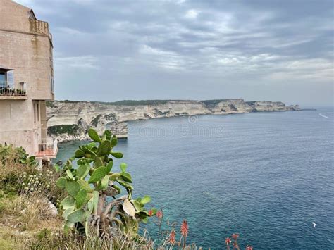 Limestone Cliffs Seen From Old Town Bonifacio Built On Rock Cliffs