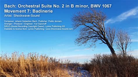 Bach Orchestral Suite No 2 In B Minor BWV 1067 Movement 7 Badinerie