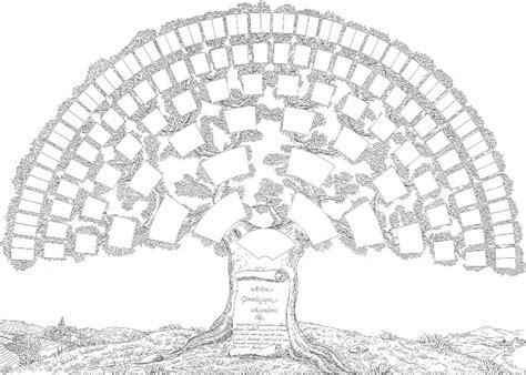 Arbre Genealogique Vierge A Imprimer Tanant